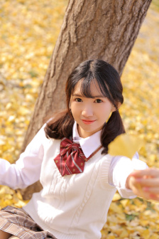 花翎飞盗